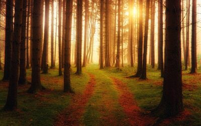 Van ‘anti-vaag’ naar ‘systemisch werk’ 